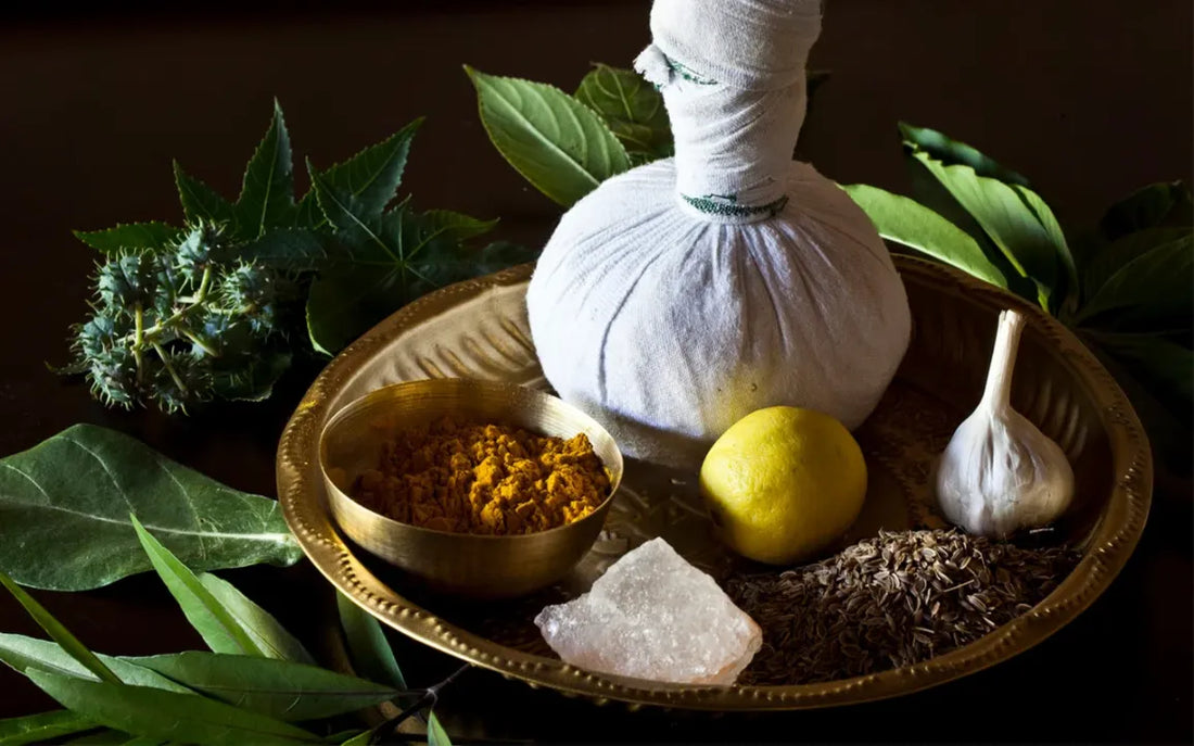 Modern Ayurveda: Ancient Wisdom for Today’s Life