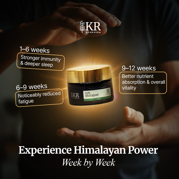 Shudh Shilajeet | 100% Natural | 30gm