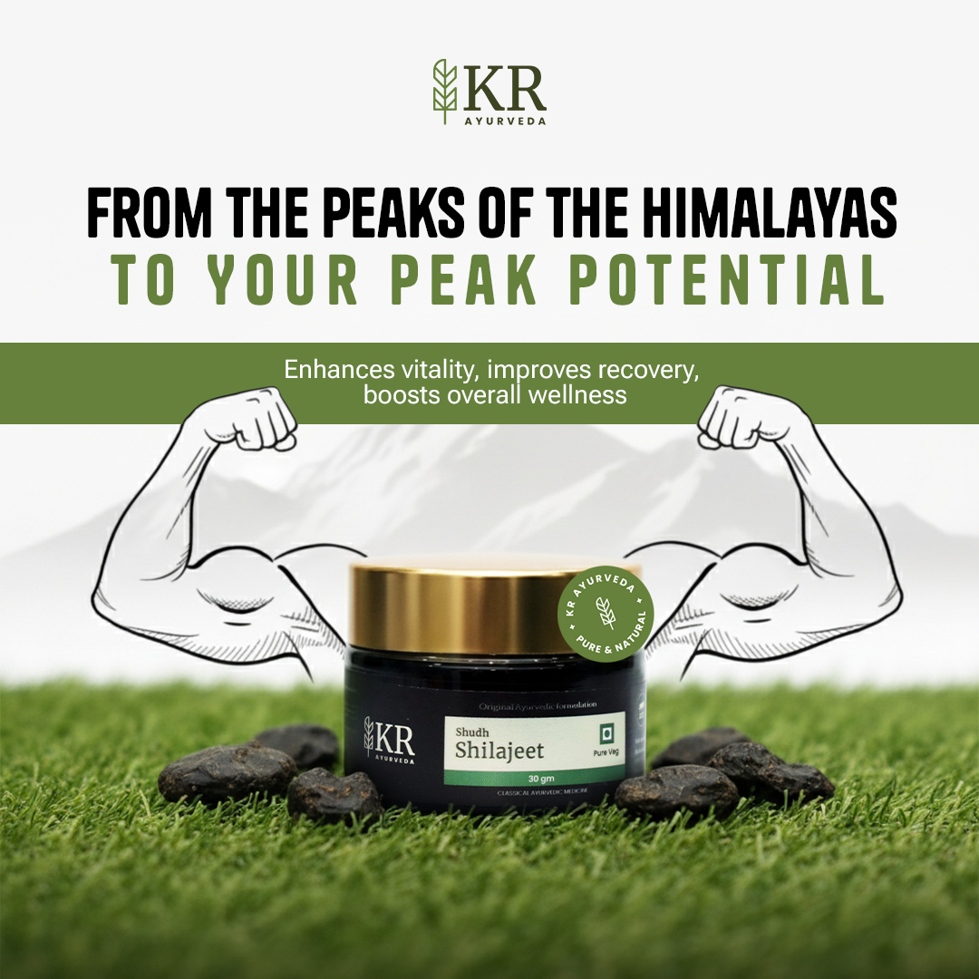 Shudh Shilajeet