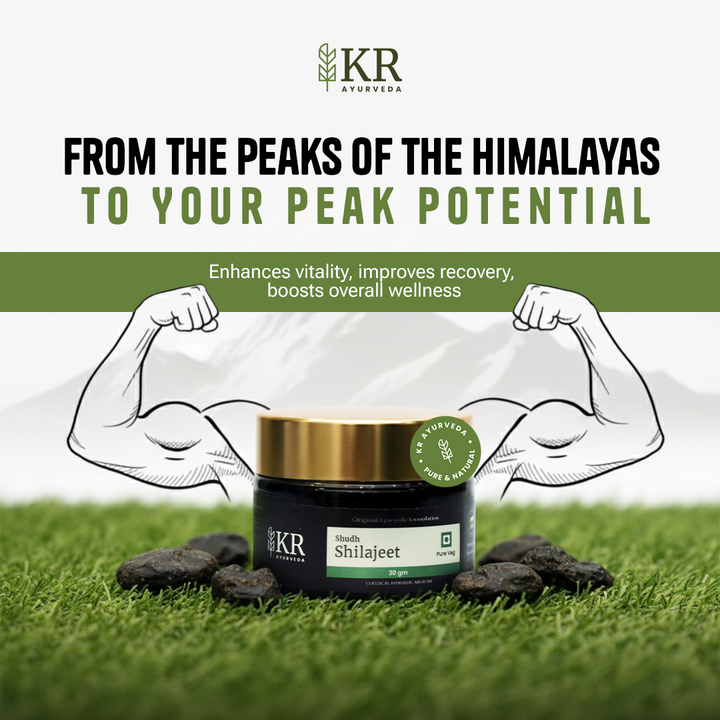 Shudh Shilajeet