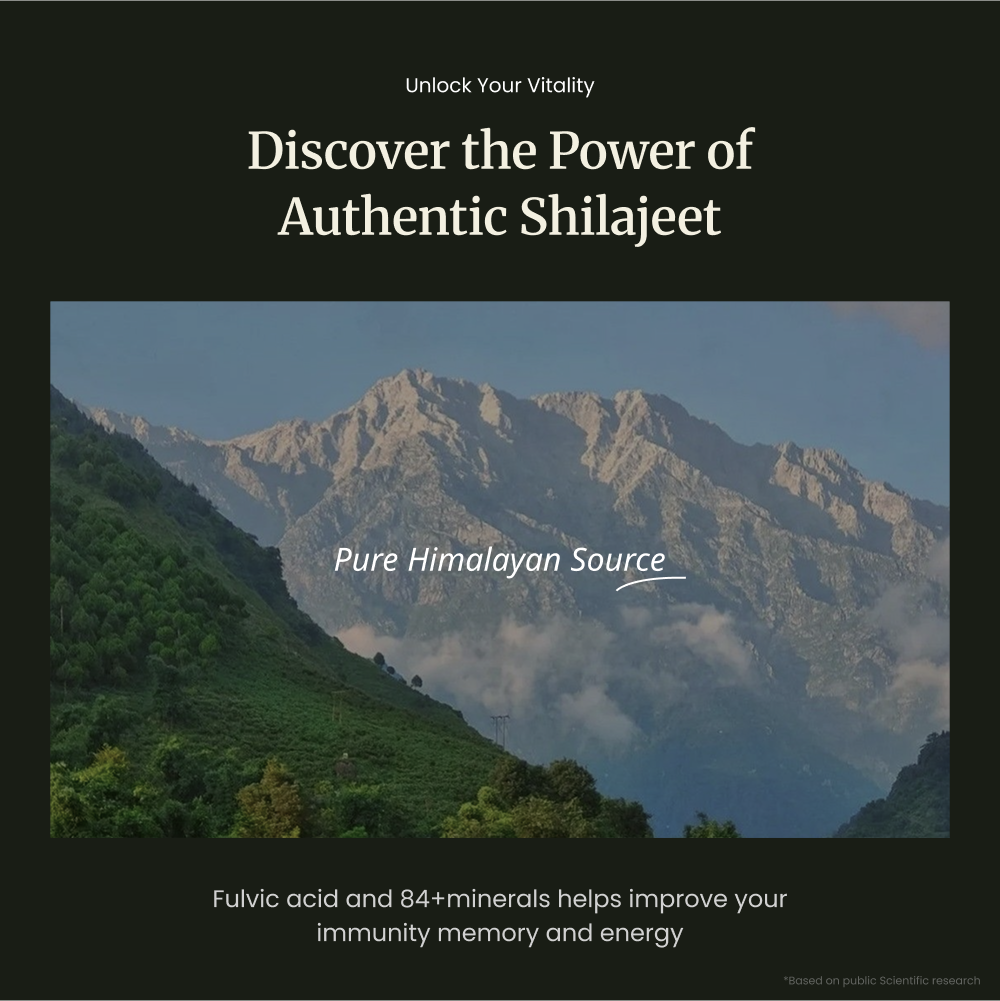 Shudh Shilajeet