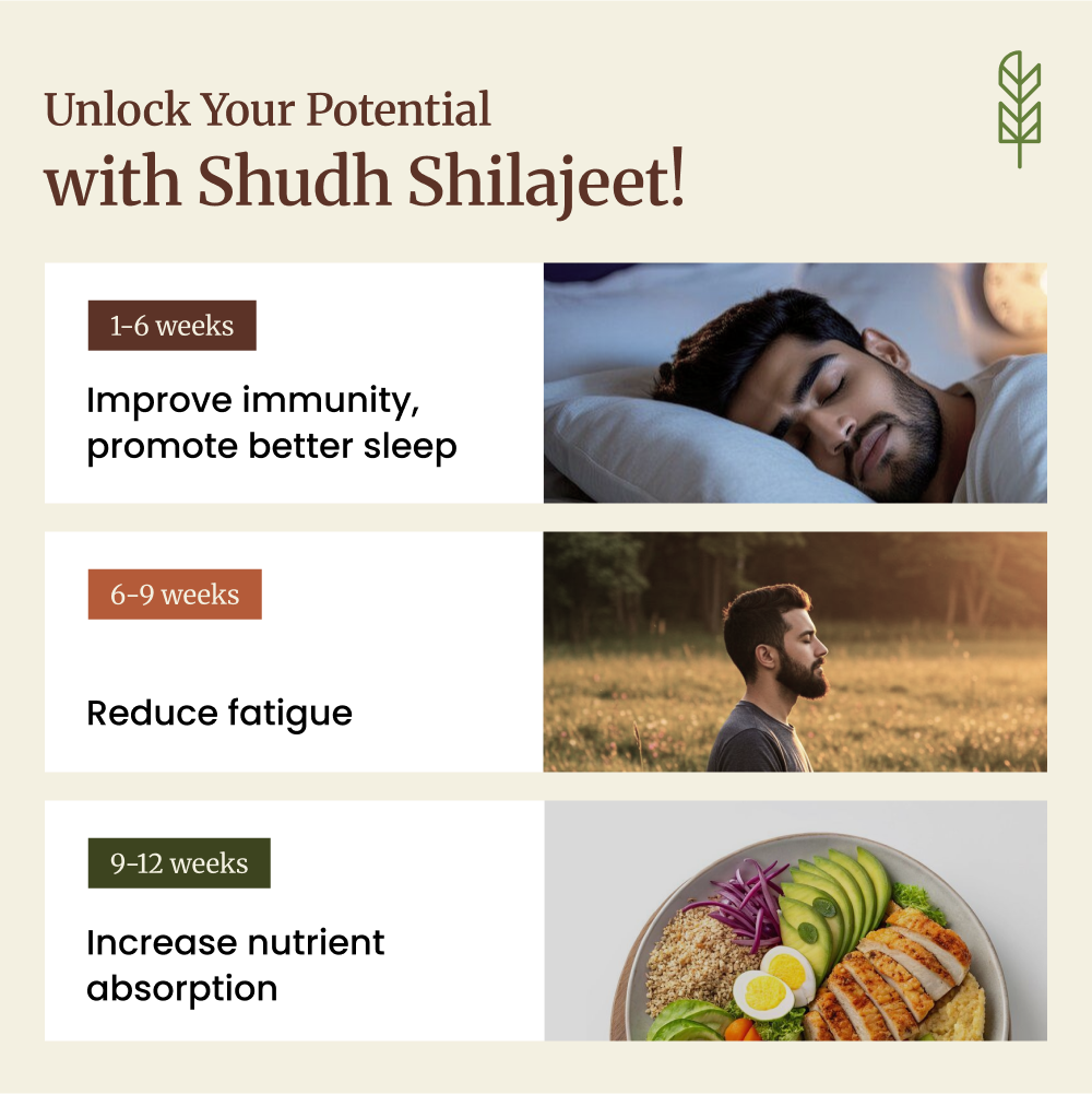 Shudh Shilajeet