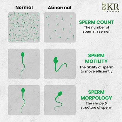 KR Ayurveda 100% Pure Shilajeet